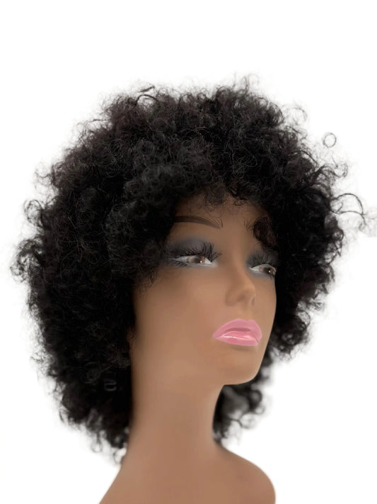 Easy-Go Kinky Curly Afro Wig KIWI HAIR BEAUTY