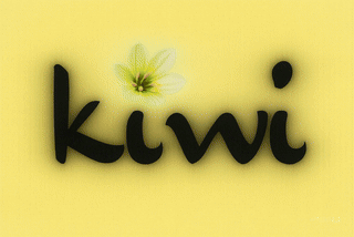 KIWI® 100% Human Hair Bundles – 3 or 4 Pack | Straight, Body Wave, Water Wave | 8–16 Inch My Store