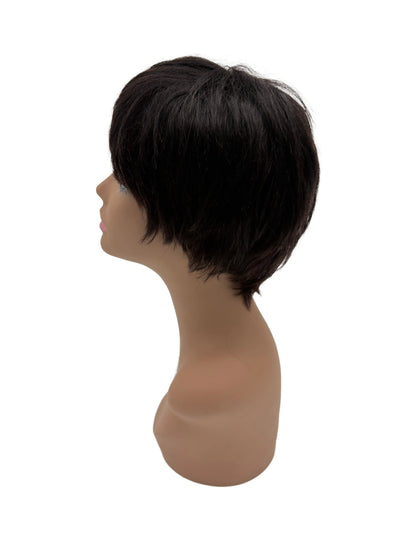 Easy-Go Short Layered Wig (March)