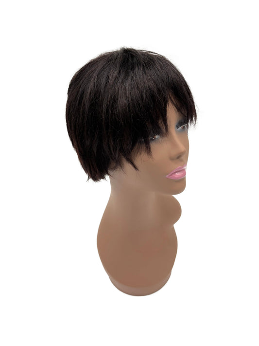Easy-Go Short Layered Wig (March)