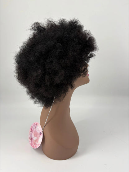 Easy-Go Curly Afro Wig KIWI HAIR BEAUTY