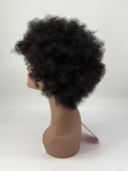 Easy-Go Curly Afro Wig KIWI HAIR BEAUTY