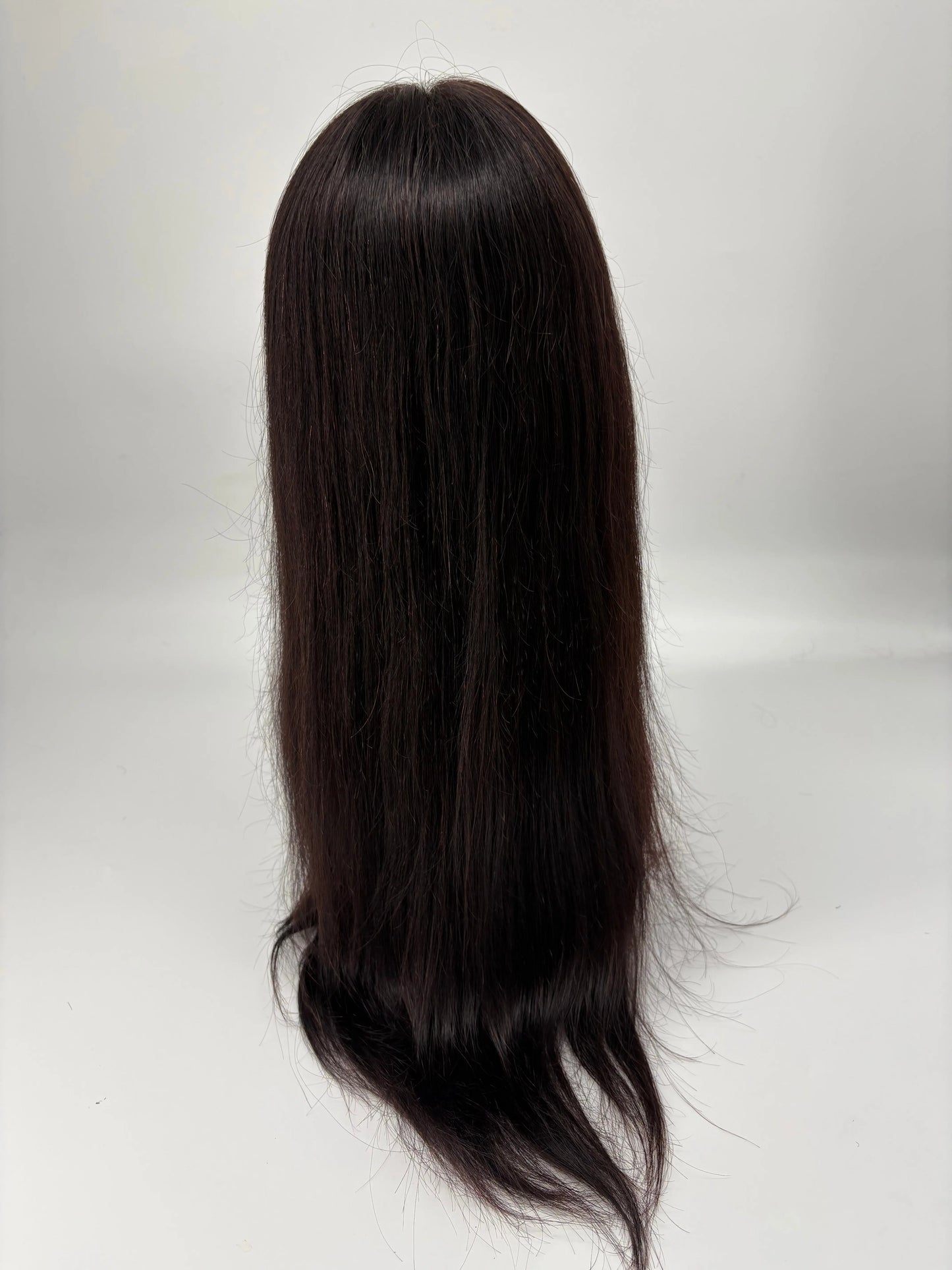 24" Straight 13×4 HD Lace Front Human Hair Wig KIWI HAIR BEAUTY
