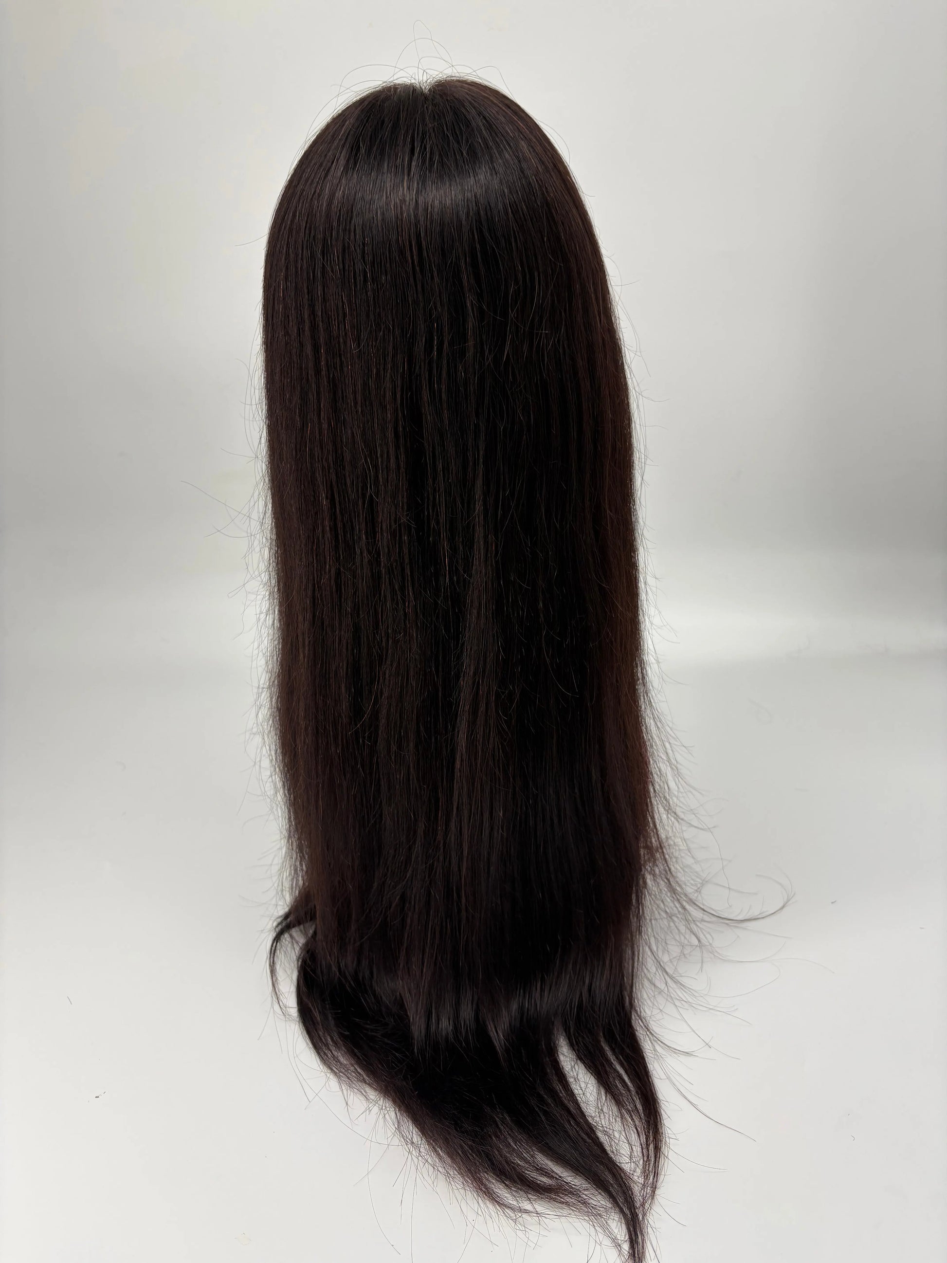 24" Straight 13×4 HD Lace Front Human Hair Wig KIWI HAIR BEAUTY
