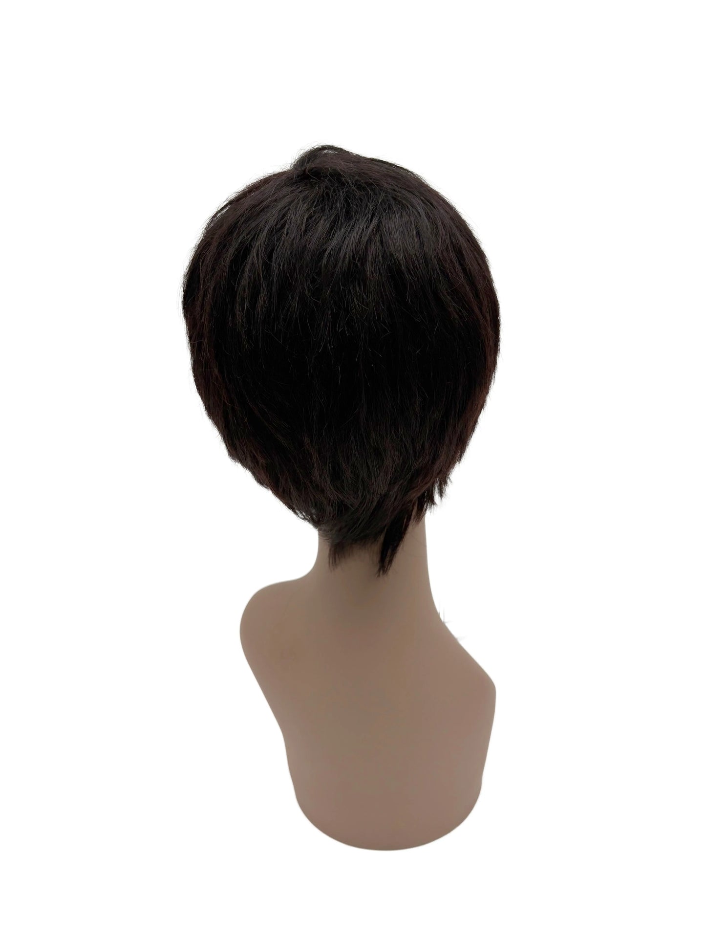 Easy-Go Short Layered Wig (March)