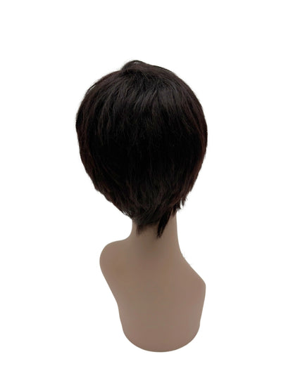 Easy-Go Short Layered Wig (March)