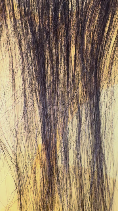 KIWI® 5×5 HD Lace Closure – Straight, Body Wave & Deep Wave Human Hair